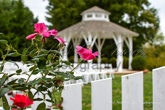 Amity&JoeyWedding-077