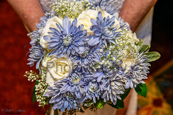 Lynda&James-67